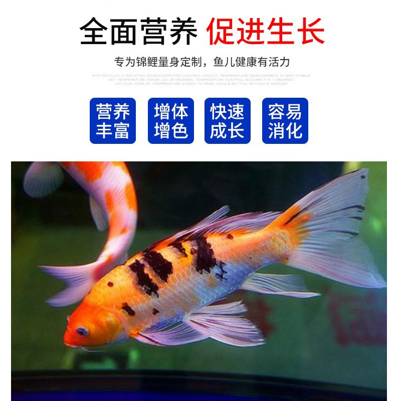 锦鲤鱼食育成饲料小颗粒增色不浑水观赏鱼鱼粮池塘鱼饲料高清大图
