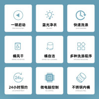 志高(CHIGO) 4.8KG洗衣机 全自动家用小型大容量波轮宿舍迷你租房洗脱一体 蓝光洗衣