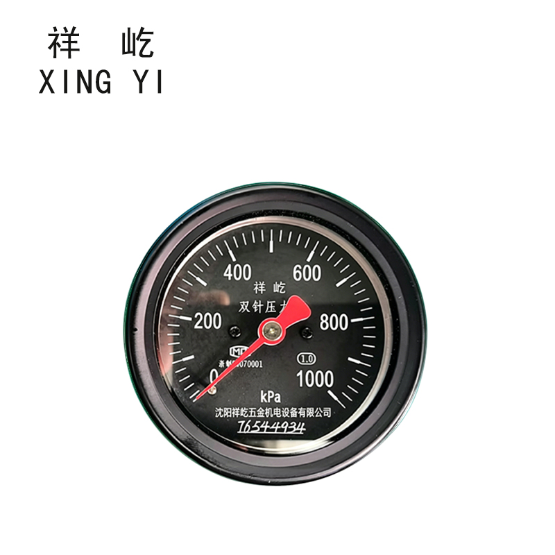 祥屹 双针压力表 YTS80Z 块高清大图