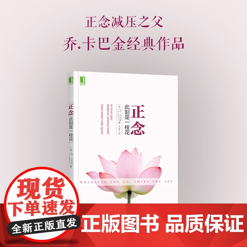 正念 此刻是一枝花 正念减压之父乔·卡巴金代表作 阐明正念冥想的精髓和方法 找回平静、专注、清明、幸福 正版书籍