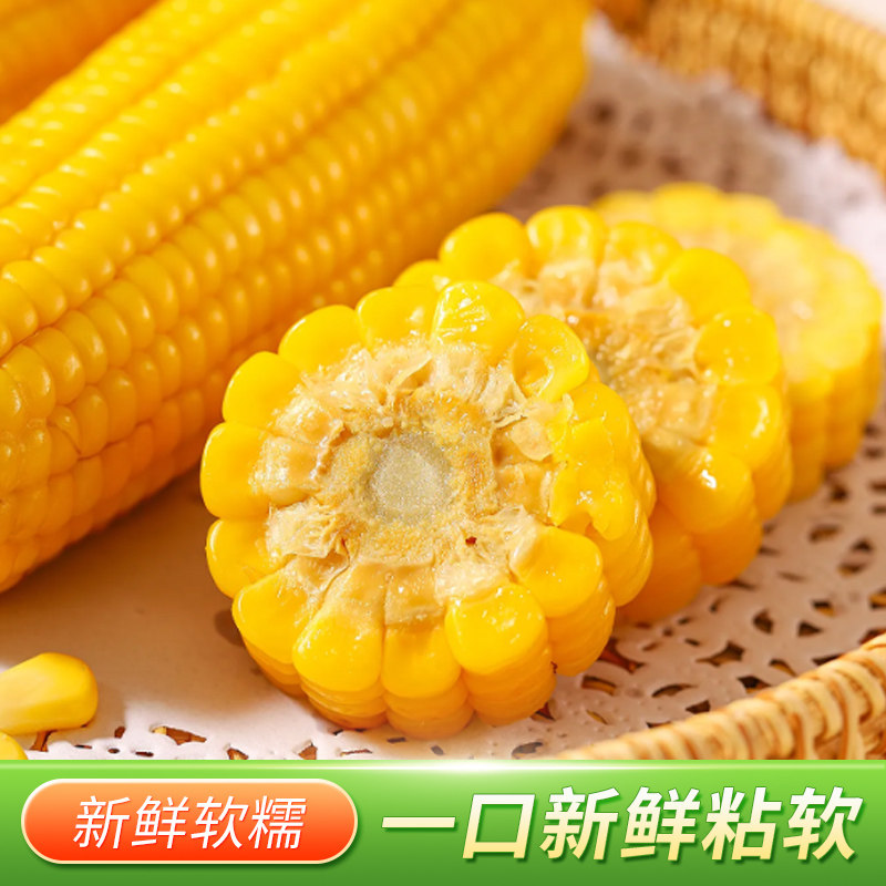 [西沛生鲜]东北糯玉米 10根 单根300-380g高清大图