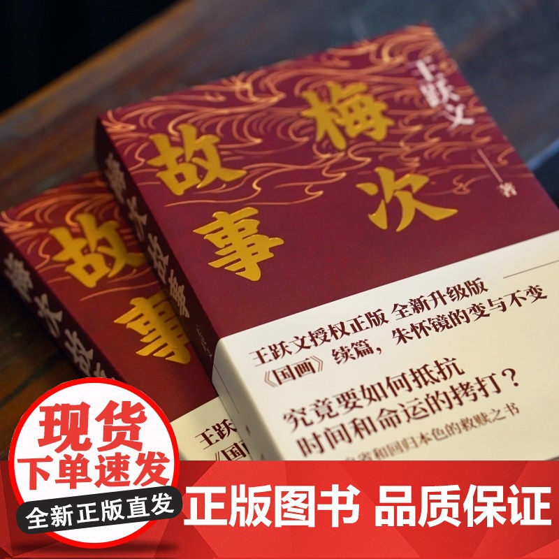 梅次故事(写给正在寻找出路年轻人的自救之书!) 王跃文 湖南文艺出版社 正版书籍高清大图