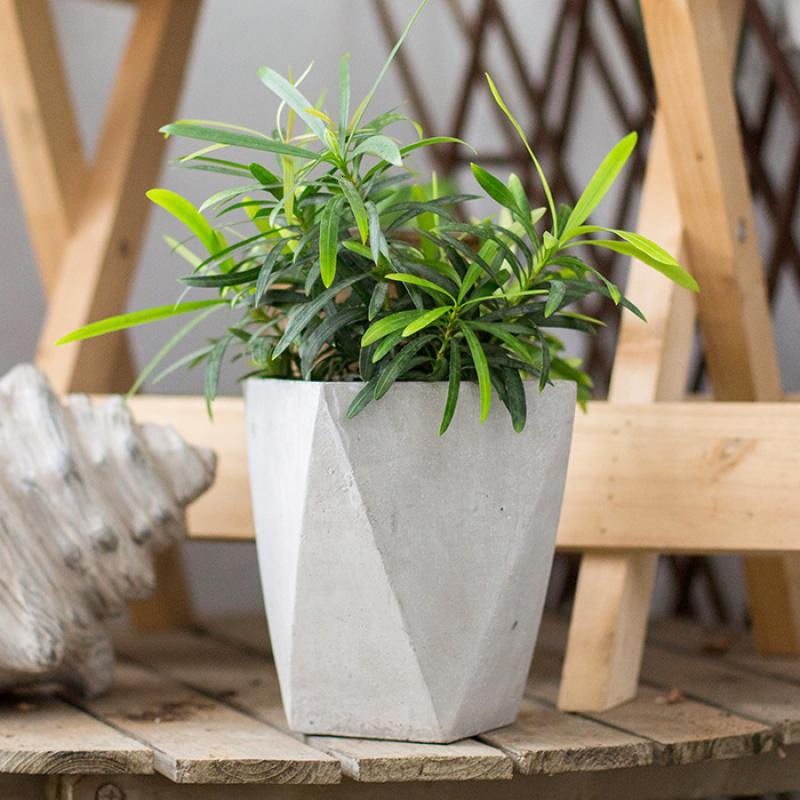 家柏饰(CORATED)多面体几何混凝土花盆花器花篮现代简约花园装饰桌面装饰 A大圆矮柱 中高清大图