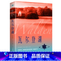 瓦尔登湖 【正版】认准瓦尔登湖 梭罗著名家全译本无删减外国现当代经典小说读物世界名著 初高中小学生课外阅读物世尔全学