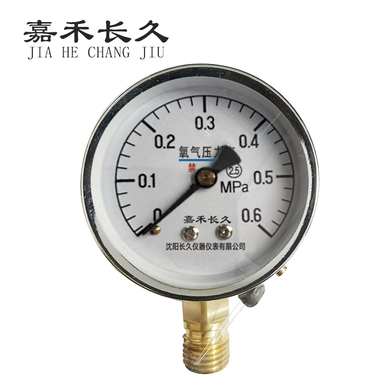 嘉禾长久+氧气压力表检测定制型+YO60+块 0-0.6Mpa