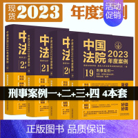 [正版]全4册中国法院2023年度案例19 20 21 22 刑事案例一二三四 法制 法律法官参考书 典型案例裁判思路类