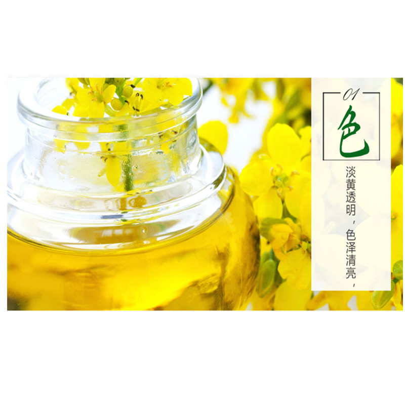 金浩茶籽橄榄食用调和油5L