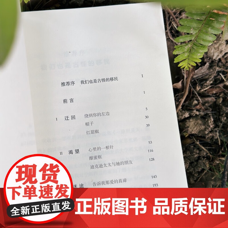 一路到夏天 爱与渴望之歌 菲奥娜·基德曼 著 外国小说高清大图