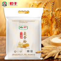 河套麦香粉10kg包子 馒头粉家用烘焙原料 小麦粉