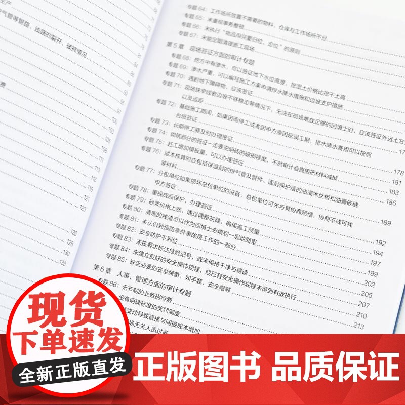 工程建设项目审计详解与实务:实战技巧+条文详解+案例分析 问题分析法律依据整改措施要点分析系统化思维审计会计实战工具书籍高清大图