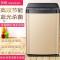 长虹洗衣机全自动10公斤家用大容量20/25kg商用宾馆酒店波轮大型 18kg+蓝光风干金属加厚+ 节能电机=全国联