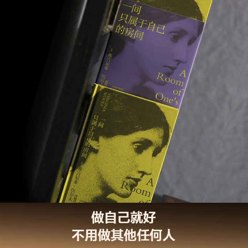一间只属于自己的房间 [正版]一间只属于自己的房间 精装 弗吉尼亚伍尔夫著 李银河推 荐女性主义奠基作品 影响世界的百部高清大图