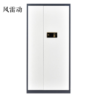风雷动办公文件柜国宝锁指纹保密柜电子密码锁财务档案柜保险柜资料柜铁