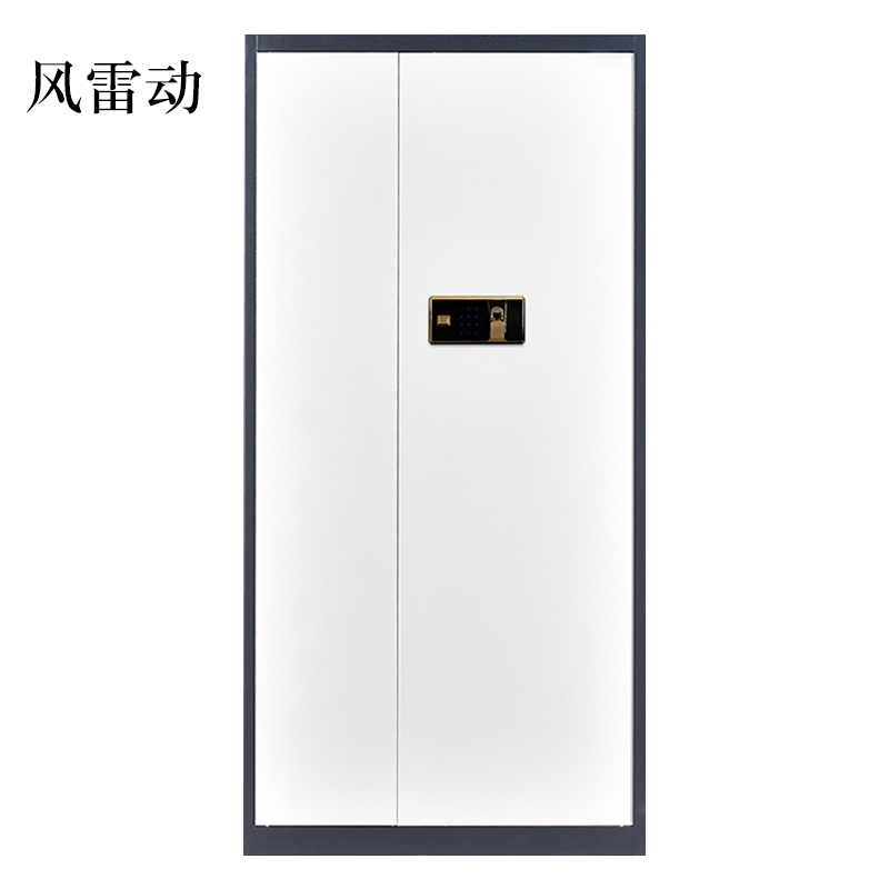 风雷动办公文件柜国宝锁指纹保密柜电子密码锁财务档案柜保险柜资料柜铁