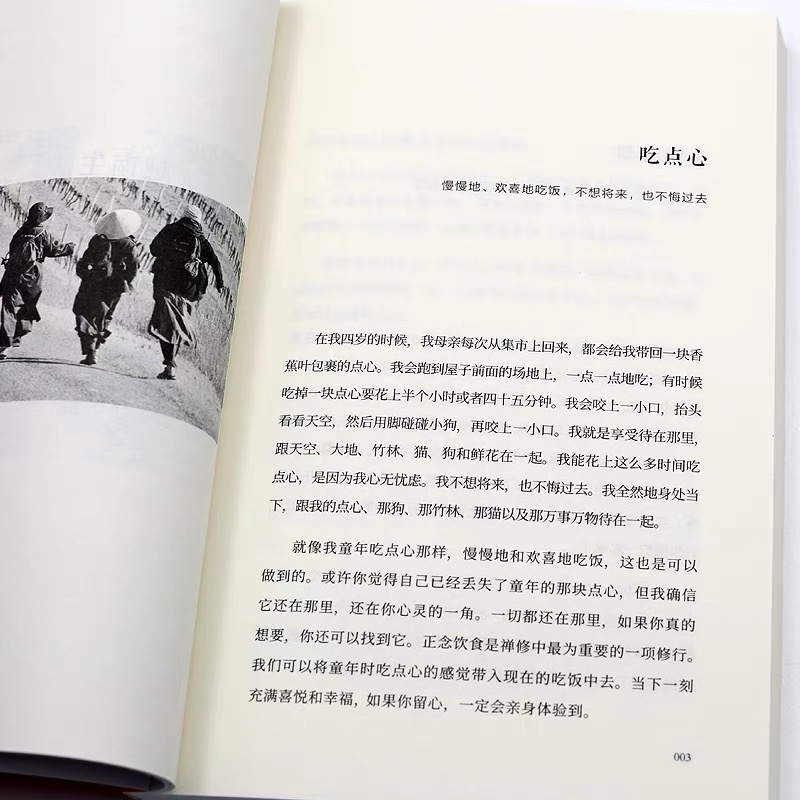 [正版]一行禅师 活在此时此刻 一行禅师修行手记 一本教你活出生命意义的灵性之书 讲述一行禅师真实的生活经历心灵励志书高清大图