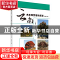 云南木本观赏植物资源:第一册:总论·乔木