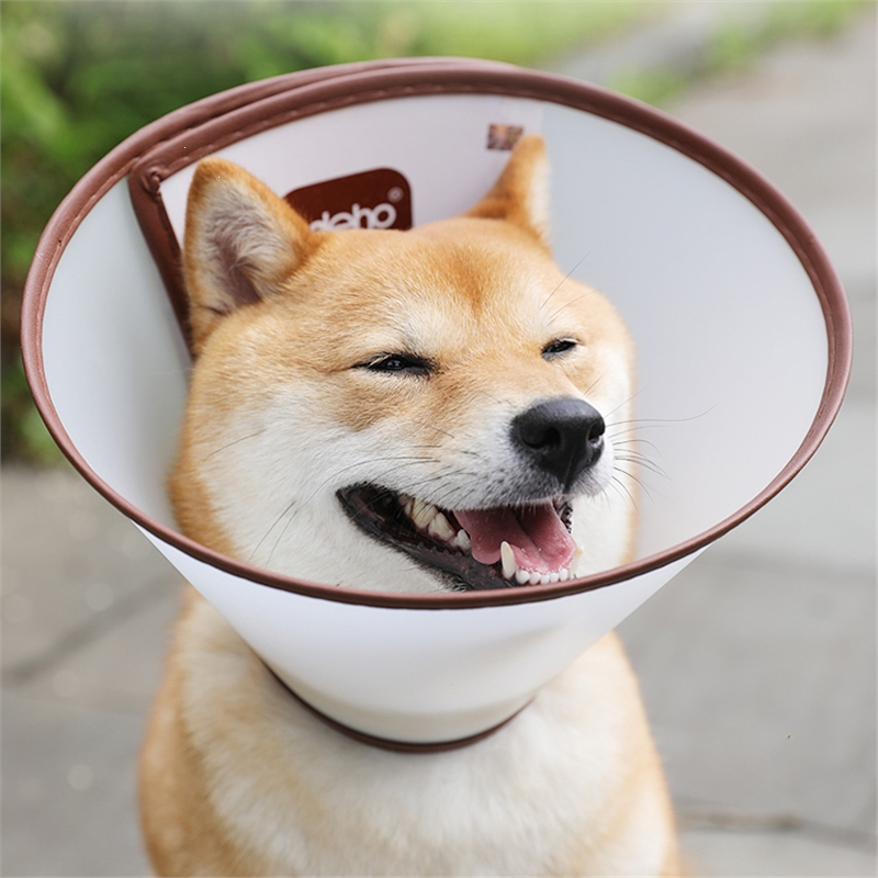 伊丽莎白圈大型犬米妮金毛头罩狗狗头套防咬舔耻辱圈宠物伊利沙白项圈