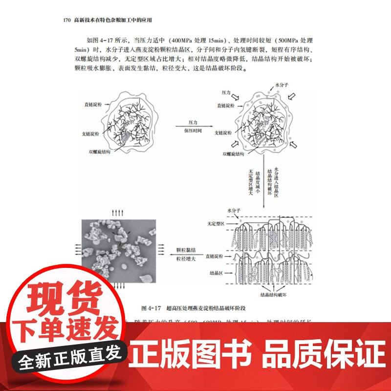 科技-高新技术在特色杂粮加工中的应用张美莉马萨日娜张晶张亚琨白雪阿荣高新技术杂粮特色杂粮加工燕麦荞麦权威团队十年深耕成果