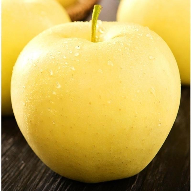 赛卡伊辽宁黄元帅苹果新鲜黄金帅苹果水果10甜粉婴儿刮泥面黄蕉5斤