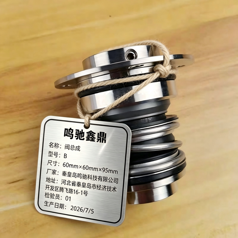 鸣驰鑫鼎 阀总成 B 个高清大图