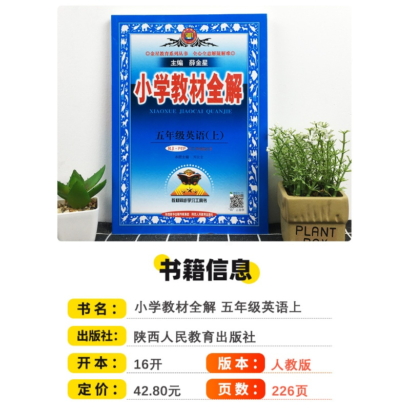 2021版薛金星小学教材全解五年级上册英语人教版 小学生5年级英语书课堂笔记金星教育全解全析课本详解教材同步训练习册教辅