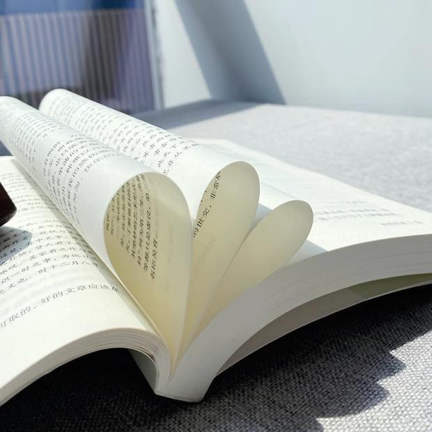 李白诗传 [正版] 苏东坡传 八年级课外阅读书目 苏轼自传诗词读本名人传记 初中生苏东坡新传历史类书籍学生课外书籍 苏轼高清大图