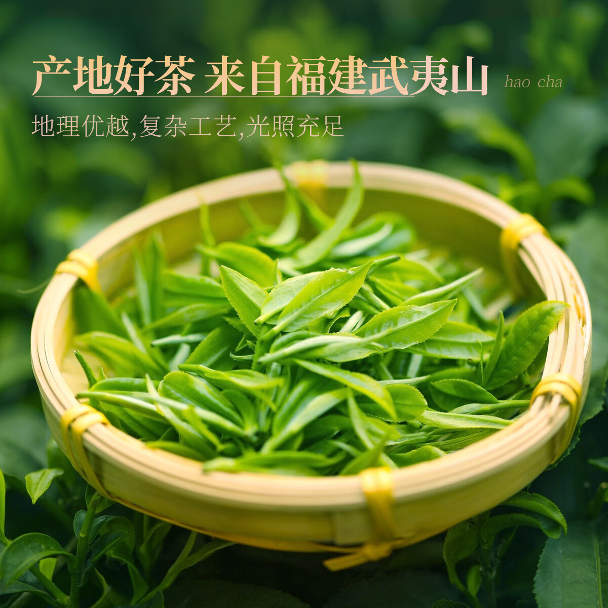 忆江南 金骏眉红茶茶叶礼盒装特级 烤漆系列-300g金骏眉-礼盒高清大图