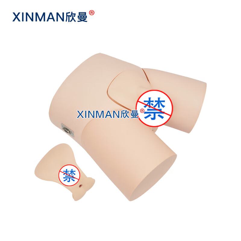 欣曼科教 电子导尿灌肠操作训练模型XM-H13高清大图