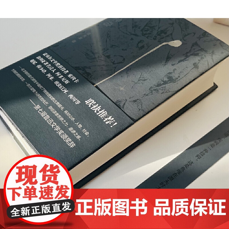 纯粹·破壁与神游 9787559876690 广西师范大学出版社 陈先发 纯粹Pura出品 2025-02高清大图