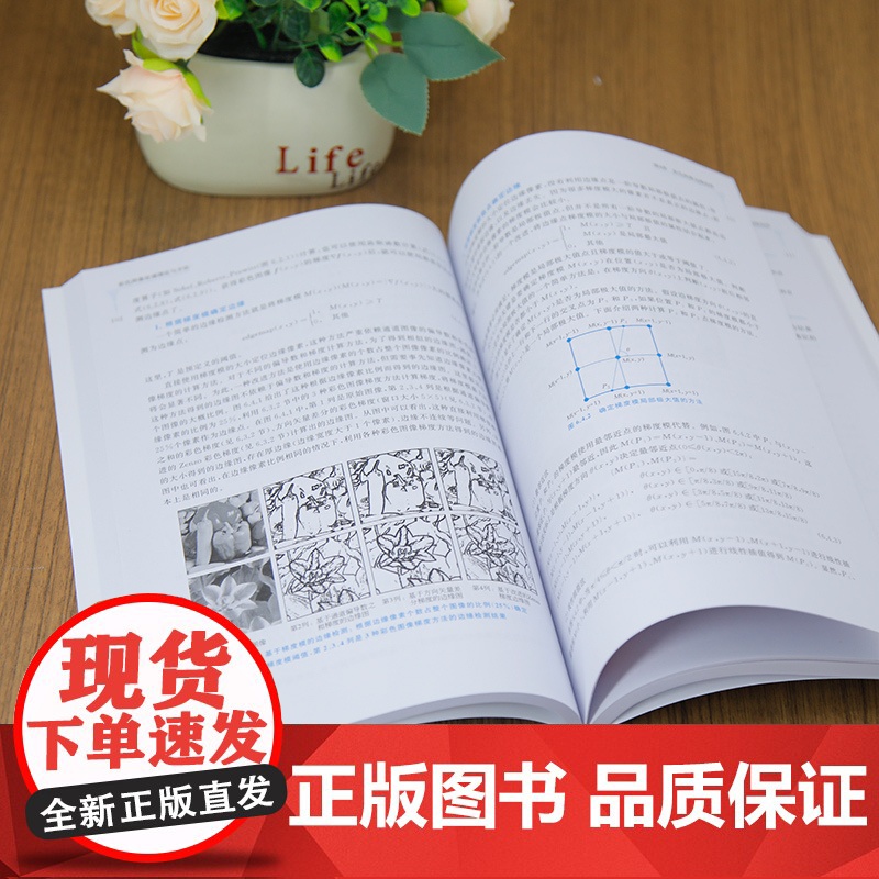 [正版新书]彩色图像处理理论与方法 金良海 清华大学出版社 图像处理高清大图