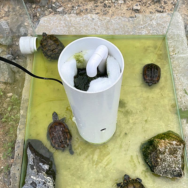 乌龟缸过滤器低水位龟箱专用内置吸粪循环三合一鱼缸龟池净水过滤图片