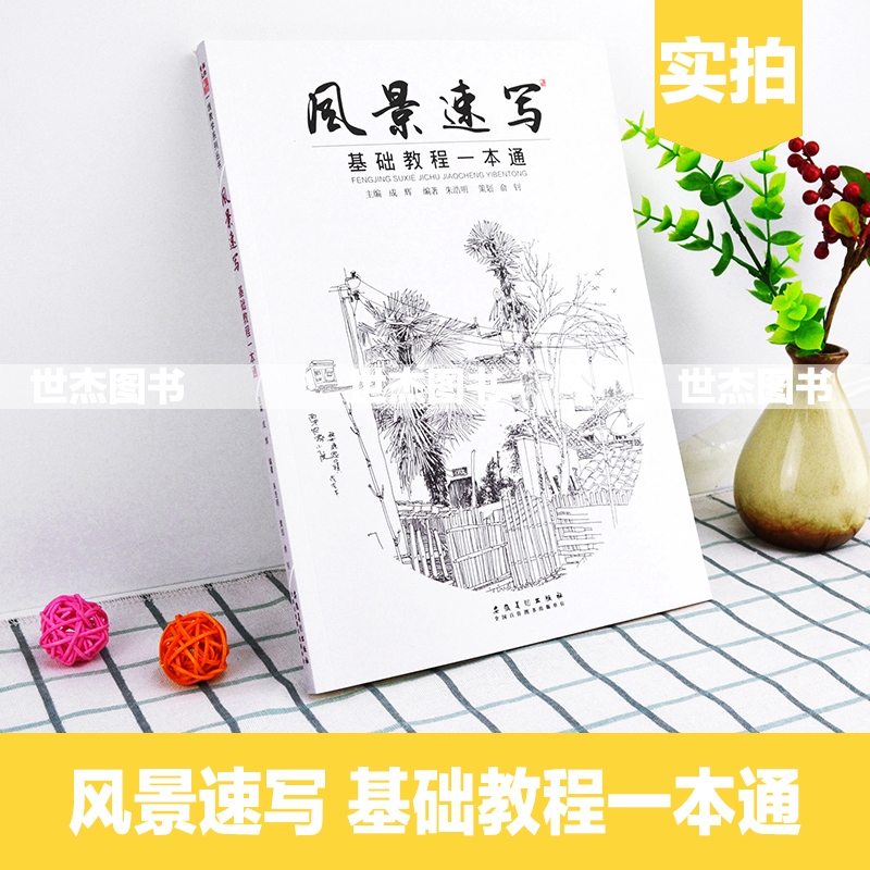[醉染正版]正版 风景速写基础教程一本通 2020一线教学成辉朱浩明技法构图透视写生照片临摹单体线范稿零基础自学敲入门砖高清大图