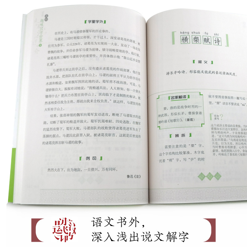 [正版]接力出版社中国汉字听写大会(4我的趣味汉字世界) 《中国汉字听写大会》节目组编著 说文解字汉字的故事中小学生教