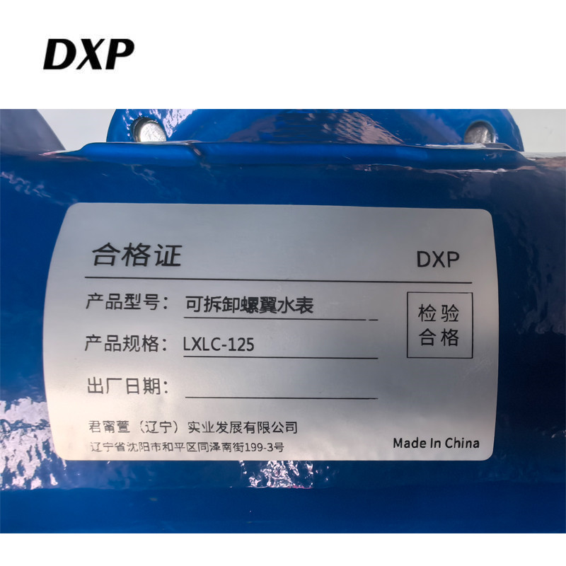 DXP 可拆卸螺翼水表 LXLC-125 块高清大图