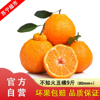 四川不知火丑橘9斤80mm+ 果园直采早熟头茬 水果新鲜发货