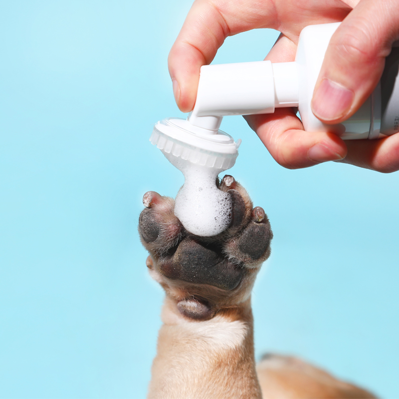 好命天生(Honeycare) 宠物洁足泡沫猫狗免洗泡泡洗脚杯 宠物脚掌滋润护理宠物用品宠物卫浴用品 150ML高清大图