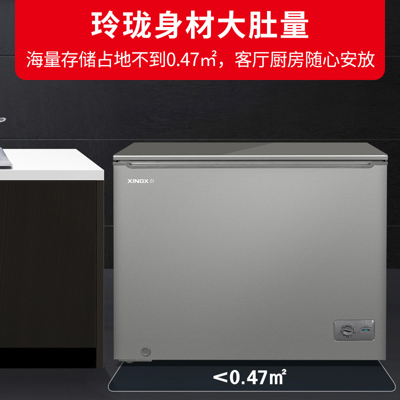 星星(XINGX)205升家用卧式冰柜小型冷藏柜顶开门果蔬保鲜柜速冻冰箱水饺汤圆海鲜猪肉急冻冷柜 BC/BD-205KV