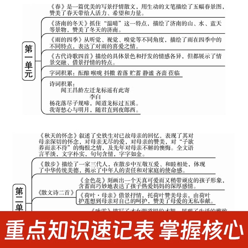 [4本]语数英物 八年级上 [正版]2024新版初中期末复习冲刺卷七八年级上册下册语文数学英语物理生物道德与法治政治历史高清大图