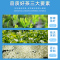 林湖茶叶 拍一发二浓香型茉莉花茶散装花毛峰大份量口粮茶共500g