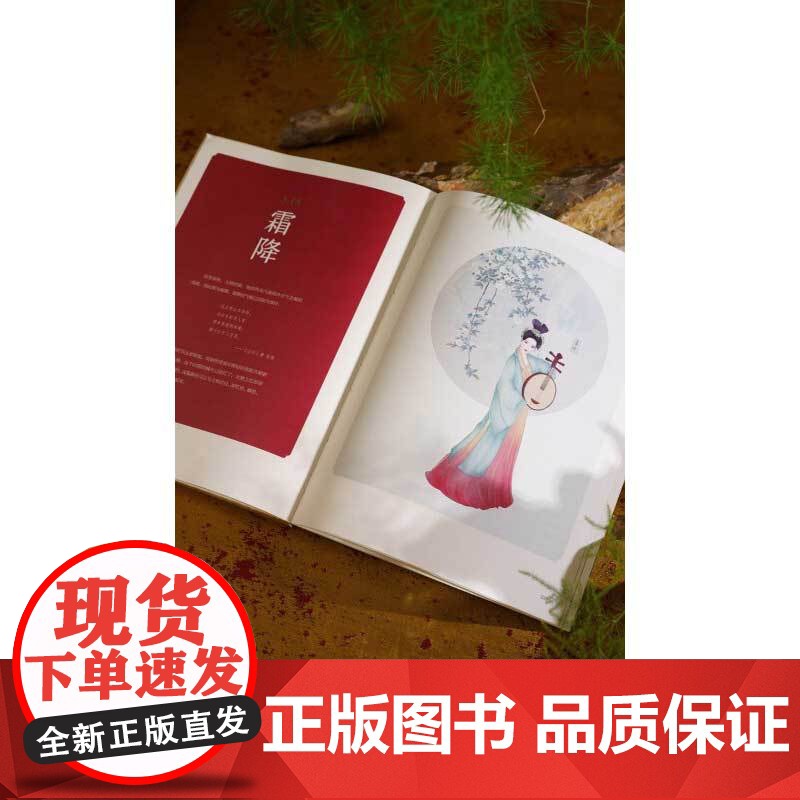 华夏衣橱 图解中国传统服饰 顾小思 著 艺术高清大图
