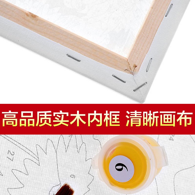 diy数字油画情侣手绘花卉客厅风景装饰油彩画 冰清玉洁
