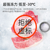 松氏商用大冷冻柜 650L 卧式冷柜-30℃单温单箱大容量超低温冰柜 BC/BD-798 低温冰箱
