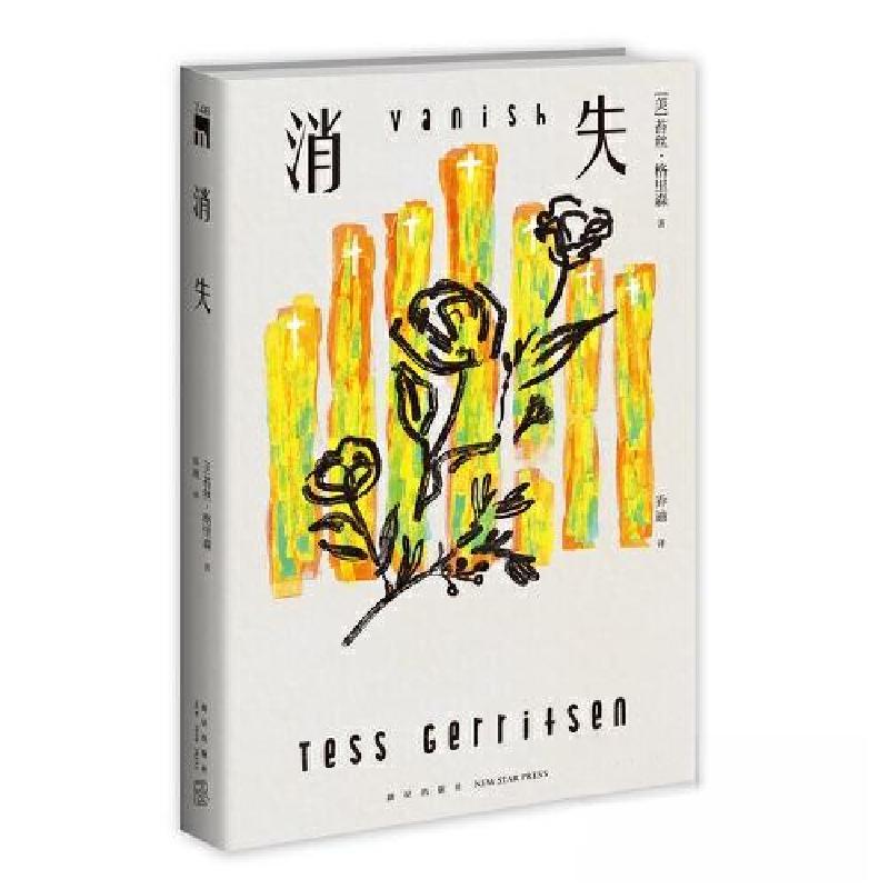 正版新书]消失[美]苔丝·格里森 著;乔迪 译9787513351232高清大图