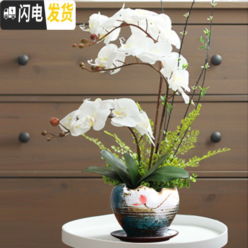 三维工匠蝴蝶兰专用陶瓷花盆家用多肉盆带托盘大号紫砂胎粗陶透气个性艺术 (蝴蝶兰专用)[带底碟]星空蓝576花盆 花盆容器高清大图