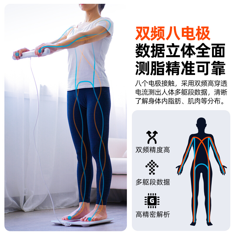体脂秤FI2001B八电极体脂秤
