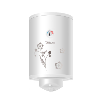 润臣 FEH32Y储水式电热水器30L升 竖式/立式 全国联保