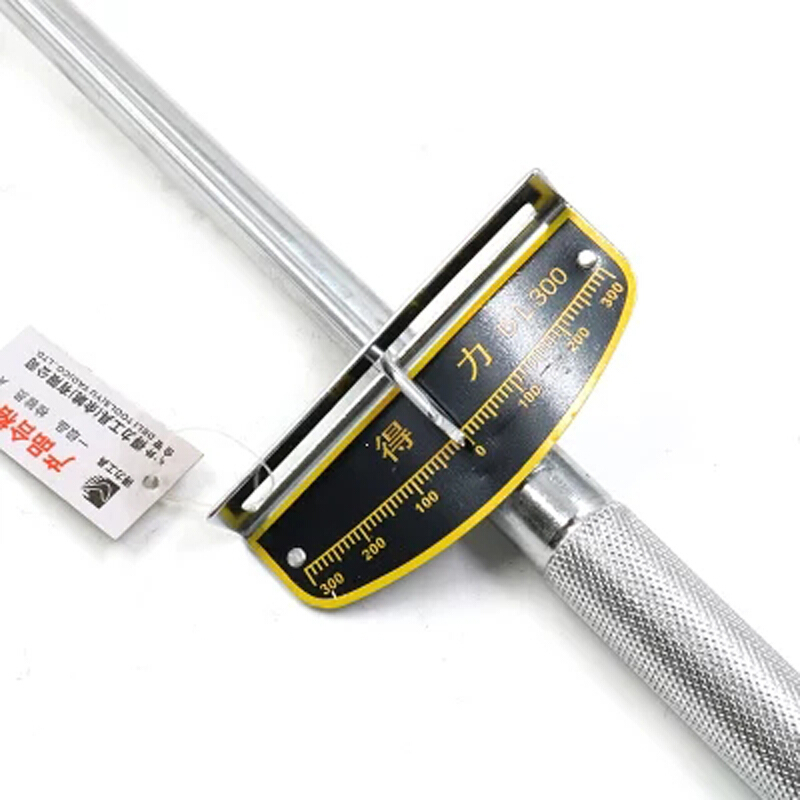 得力(deli)指针式扭力扳手 力矩可调式扳子 0-300N.m DL300 1把