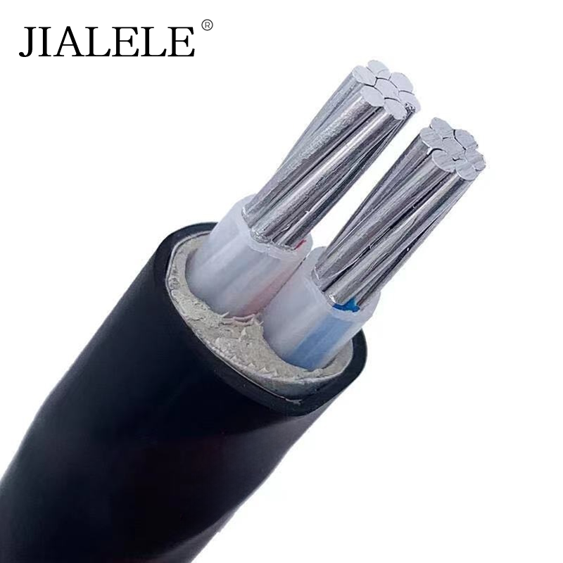 JIALELE 低压两芯铝电缆 YJLV-2*50平方 额定电压0.6/1KV 米高清大图