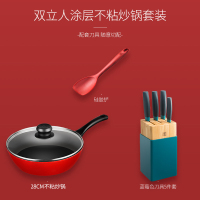 德国双立人(ZWILLING)nows 蓝莓色刀具24cm不粘锅煎锅家用炒菜锅平底牛排锅煎炒锅少油烟电磁炉燃气灶通用