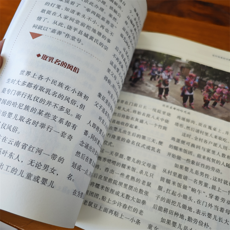 [正版]世代传承的中国姓氏流光溢彩的中华民俗文化 彩色图案版 中华姓氏源于上古 延续至当代 百家姓 倡导传承和保护中华姓高清大图